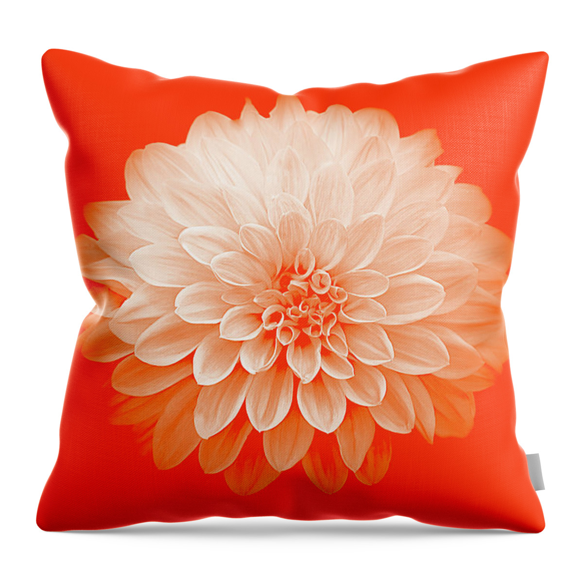 Art Throw Pillow featuring the photograph Dahlia IV on Orange Background by Joan Han