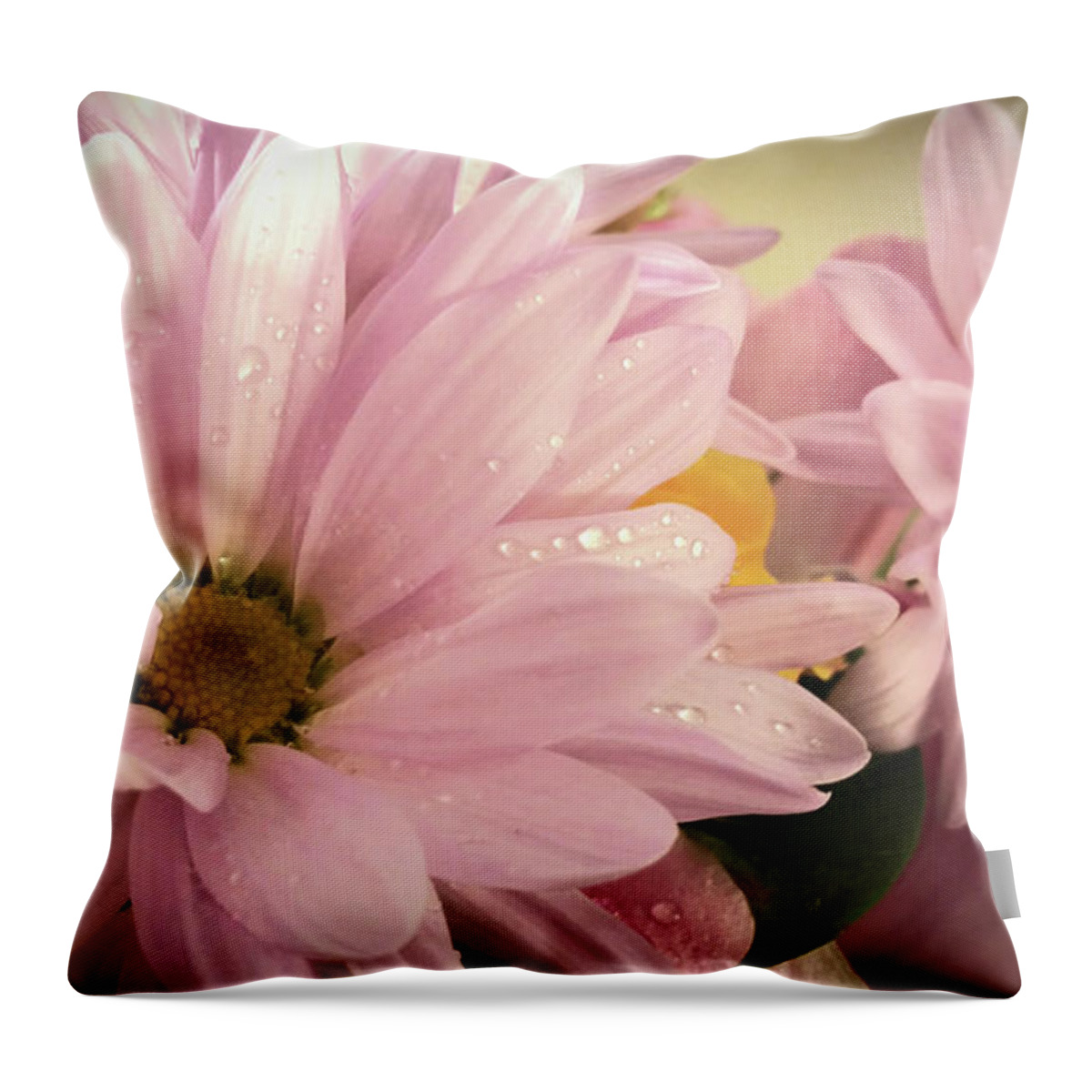 Daisies; Daisy; Flower; Flowers; Pink Flowers; Petals; Pink; Water; Water Drops; Dew; Wet; Horizontal Throw Pillow featuring the photograph Daisy Bouquet by Tina Uihlein