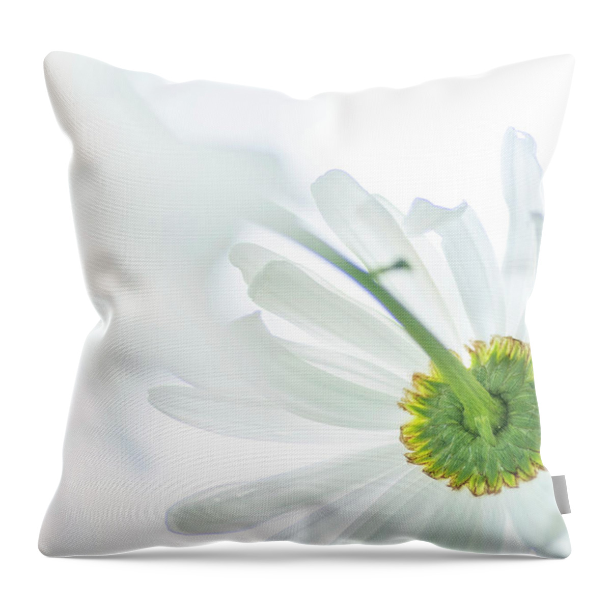 Daisy Throw Pillow featuring the photograph Daisy in a Mirror by Kathy Paynter