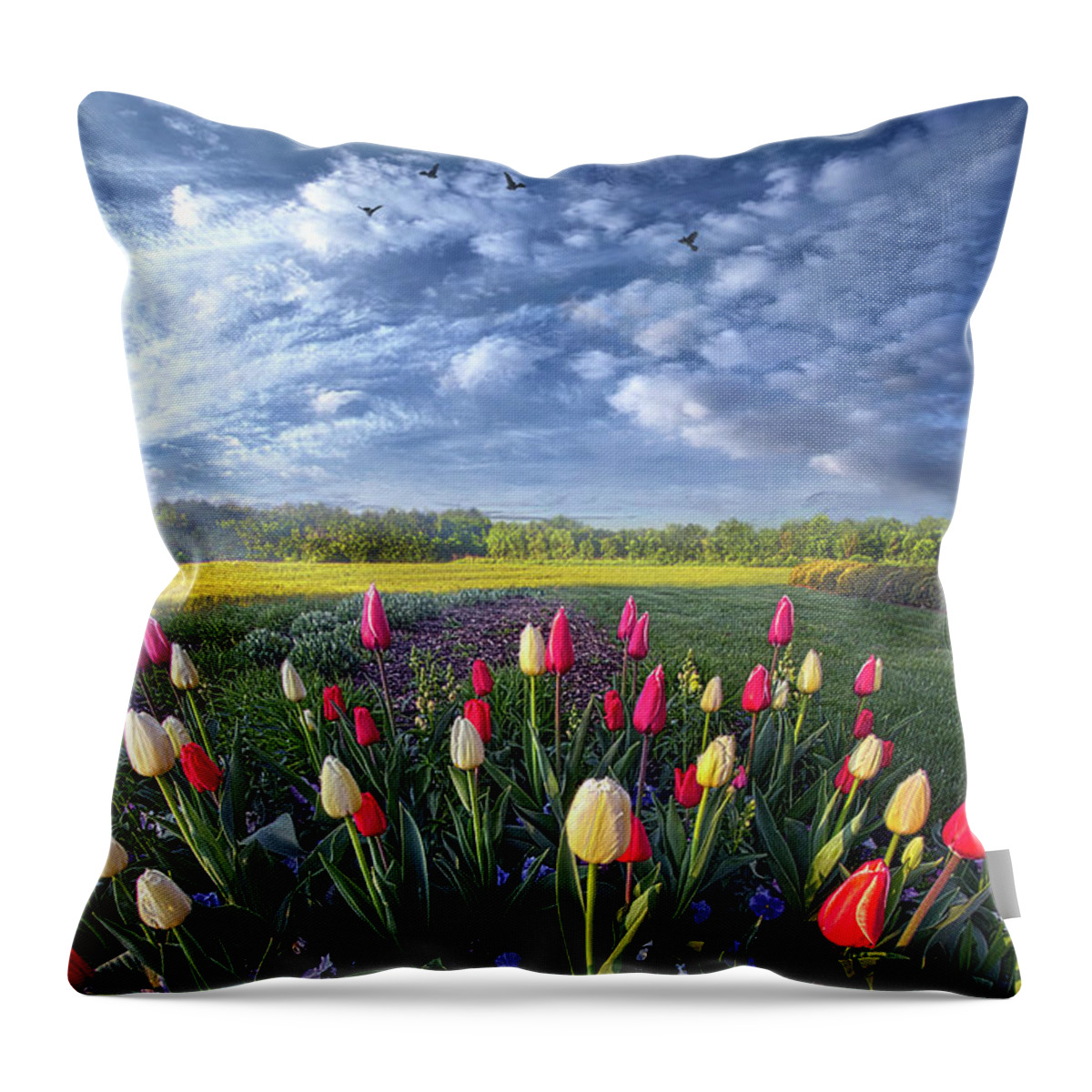 Fineart Throw Pillow featuring the photograph Dance of Life by Phil Koch