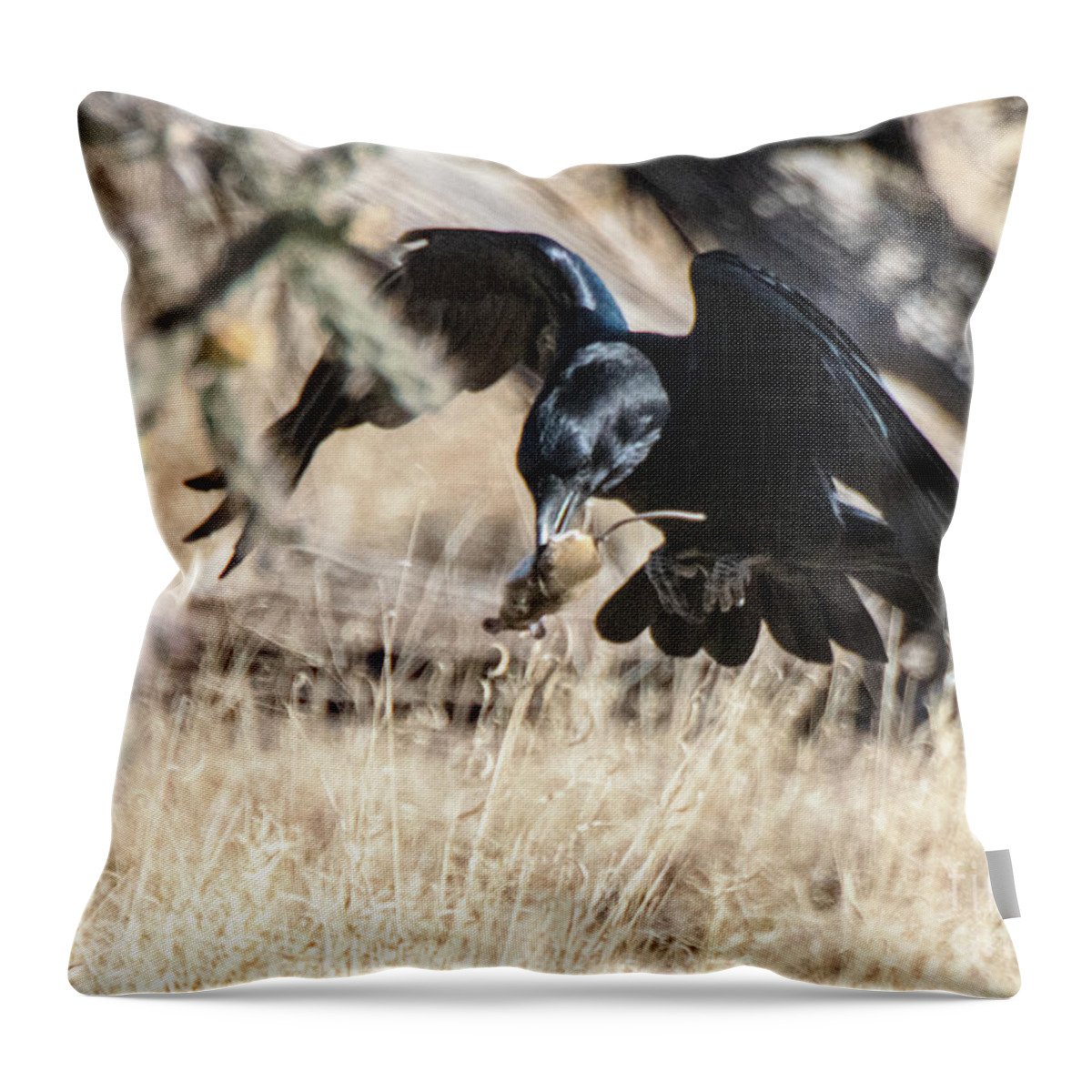 Natanson Throw Pillow featuring the photograph Dances with Mouse by Steven Natanson