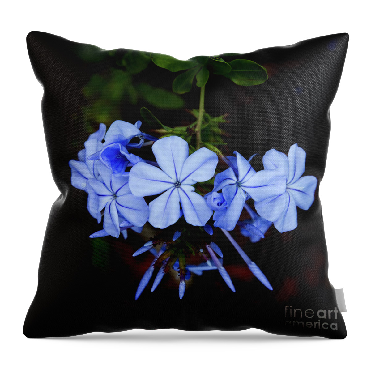 Flowers Throw Pillow featuring the photograph Dancing Flowers in Purple by Neala McCarten