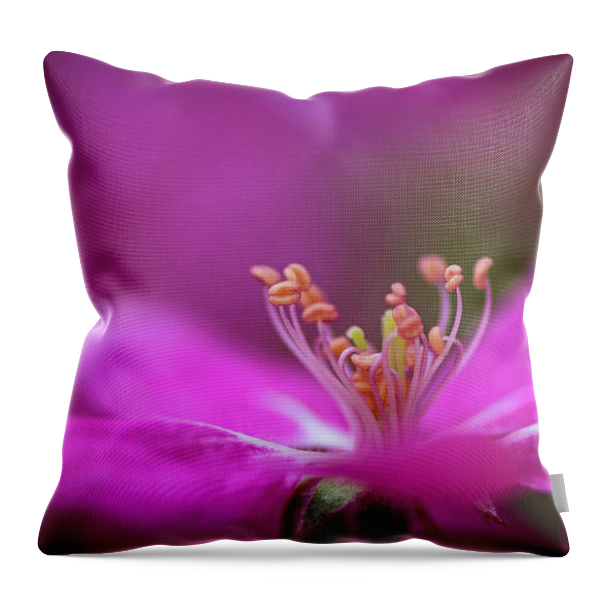 Pink Throw Pillow featuring the photograph Dancing In Pink by Pamela Dunn-Parrish
