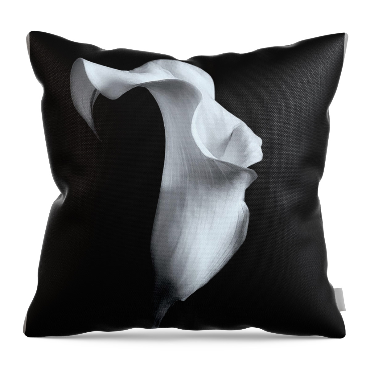 Flower Throw Pillow featuring the photograph Dancing Lily by Barbara Zahno