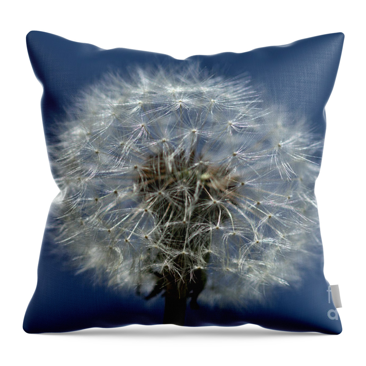 Dandelion Throw Pillow featuring the photograph Dandelion Blowball by Stephen Melia