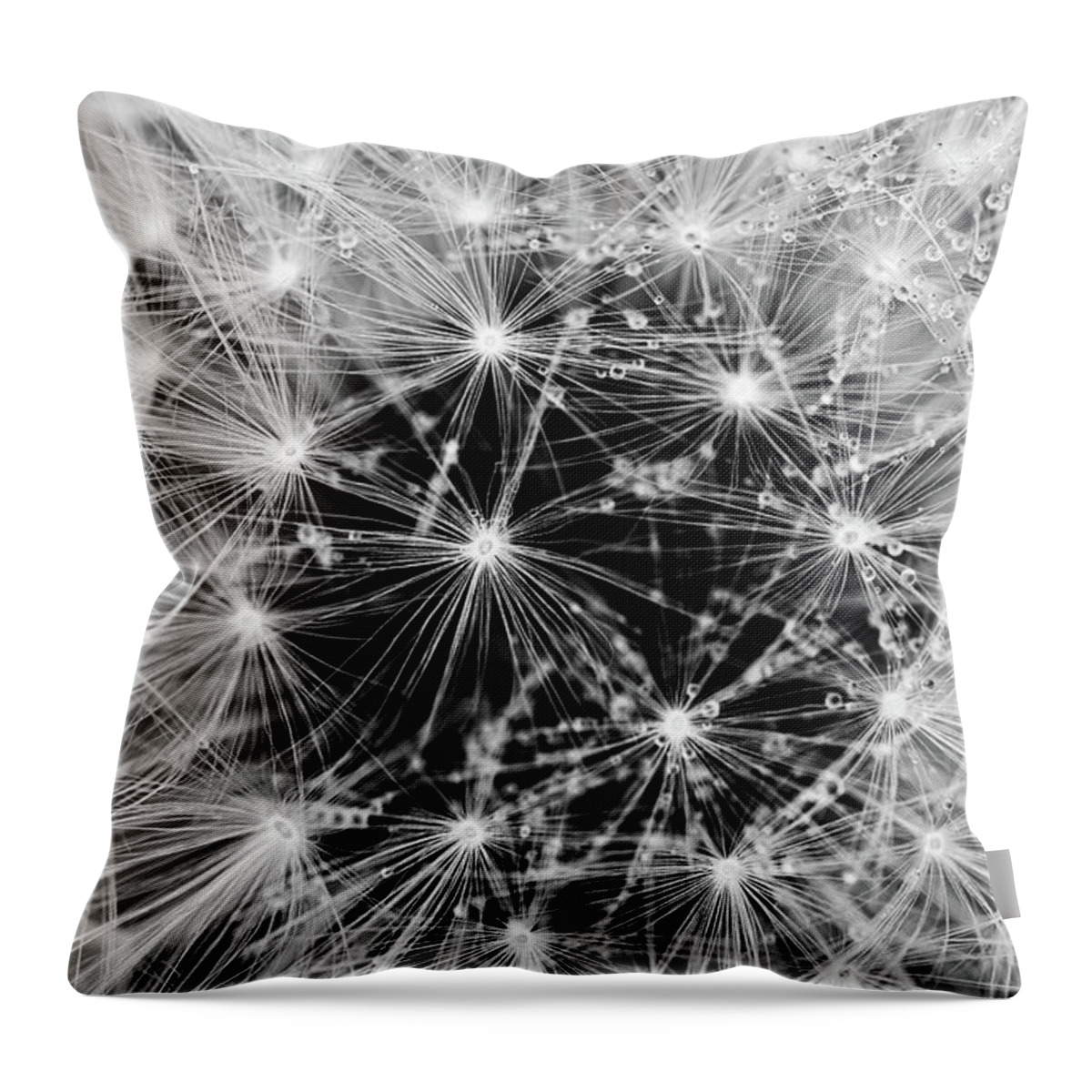 Dandelion Throw Pillow featuring the photograph Dandelion Dew by Michael Hubley