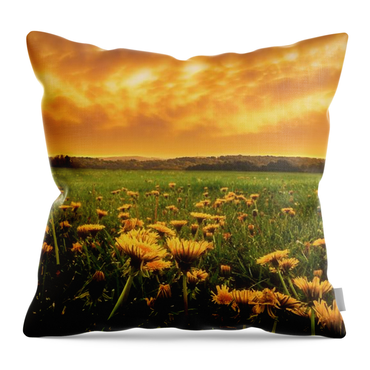 Dandelion Throw Pillow featuring the photograph Dandelion Field Under Fiery Sky by Jason Fink