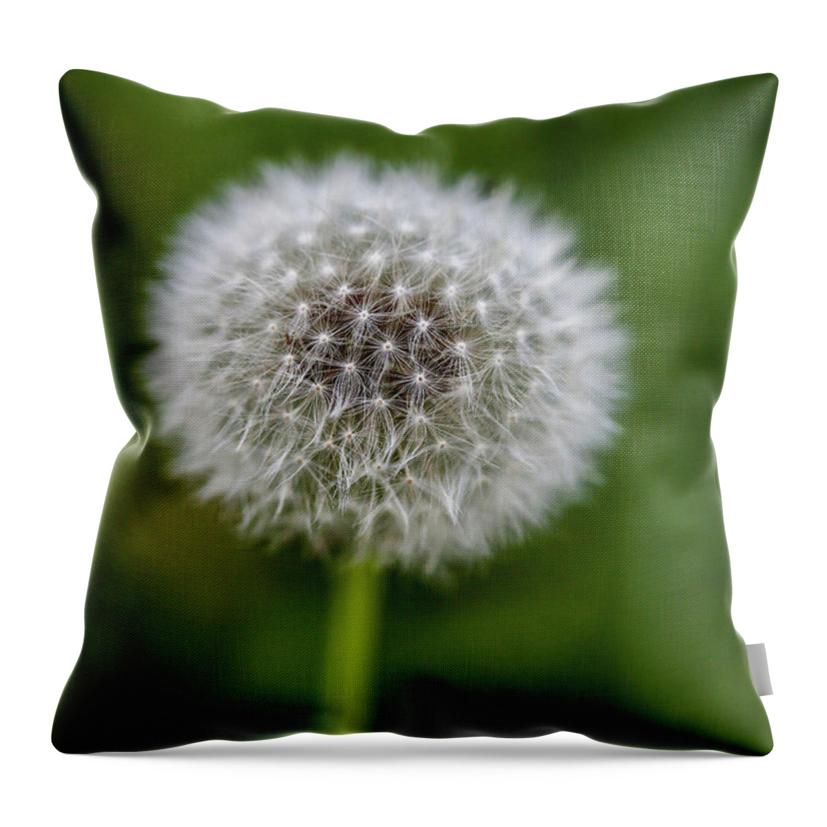 Copyright Elixir Images Throw Pillow featuring the photograph Dandelion Puff by Santa Fe