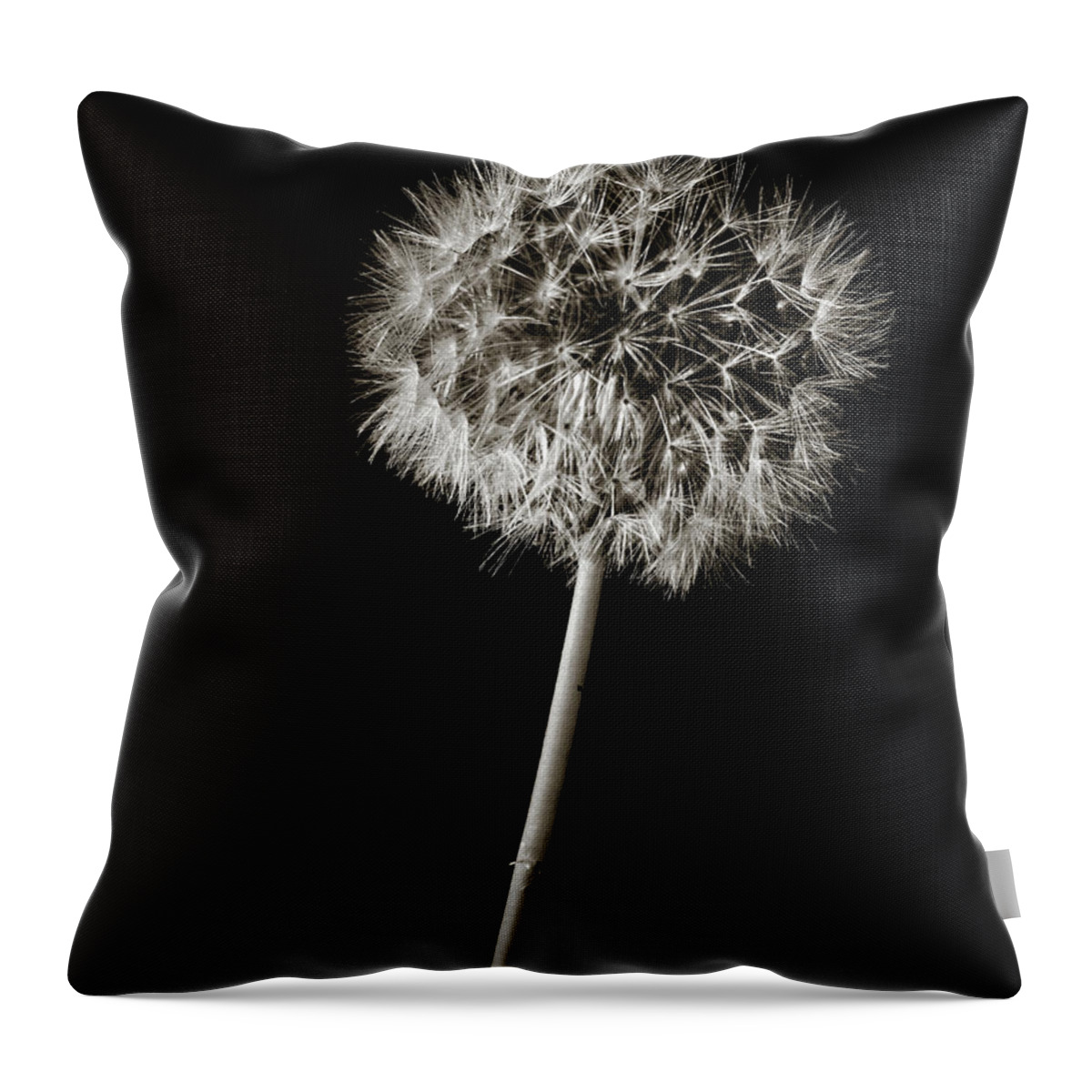 Dandelion Throw Pillow featuring the photograph Dandelion Wld Flower 220.2107 by M K Miller