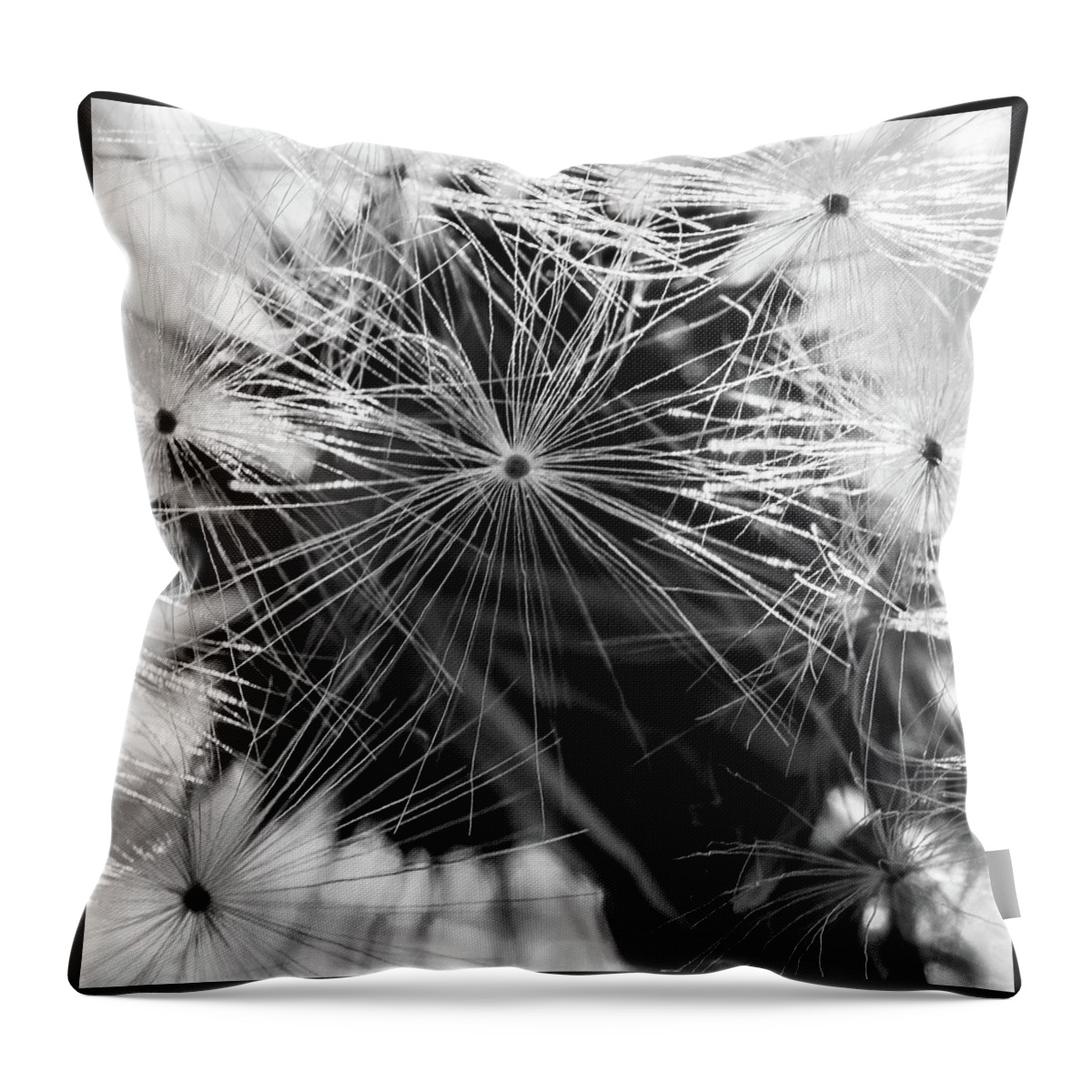 Plants Throw Pillow featuring the photograph Dandelions Clock by Louis Dallara