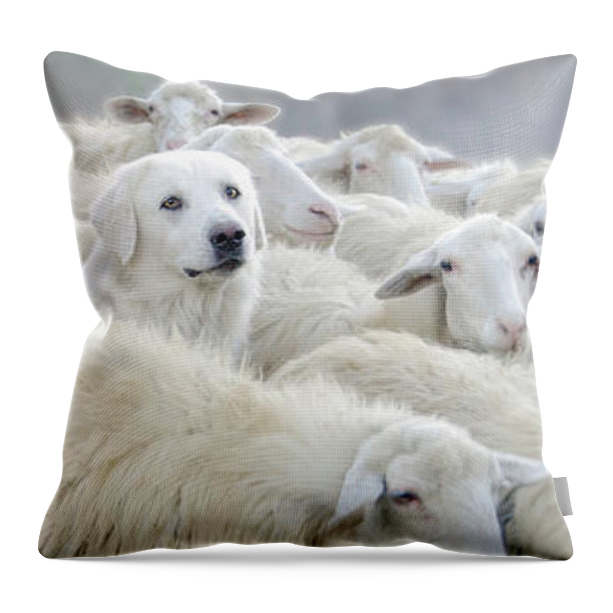Drôle Throw Pillow featuring the photograph Dare to be Different - pano by Louise Tanguay