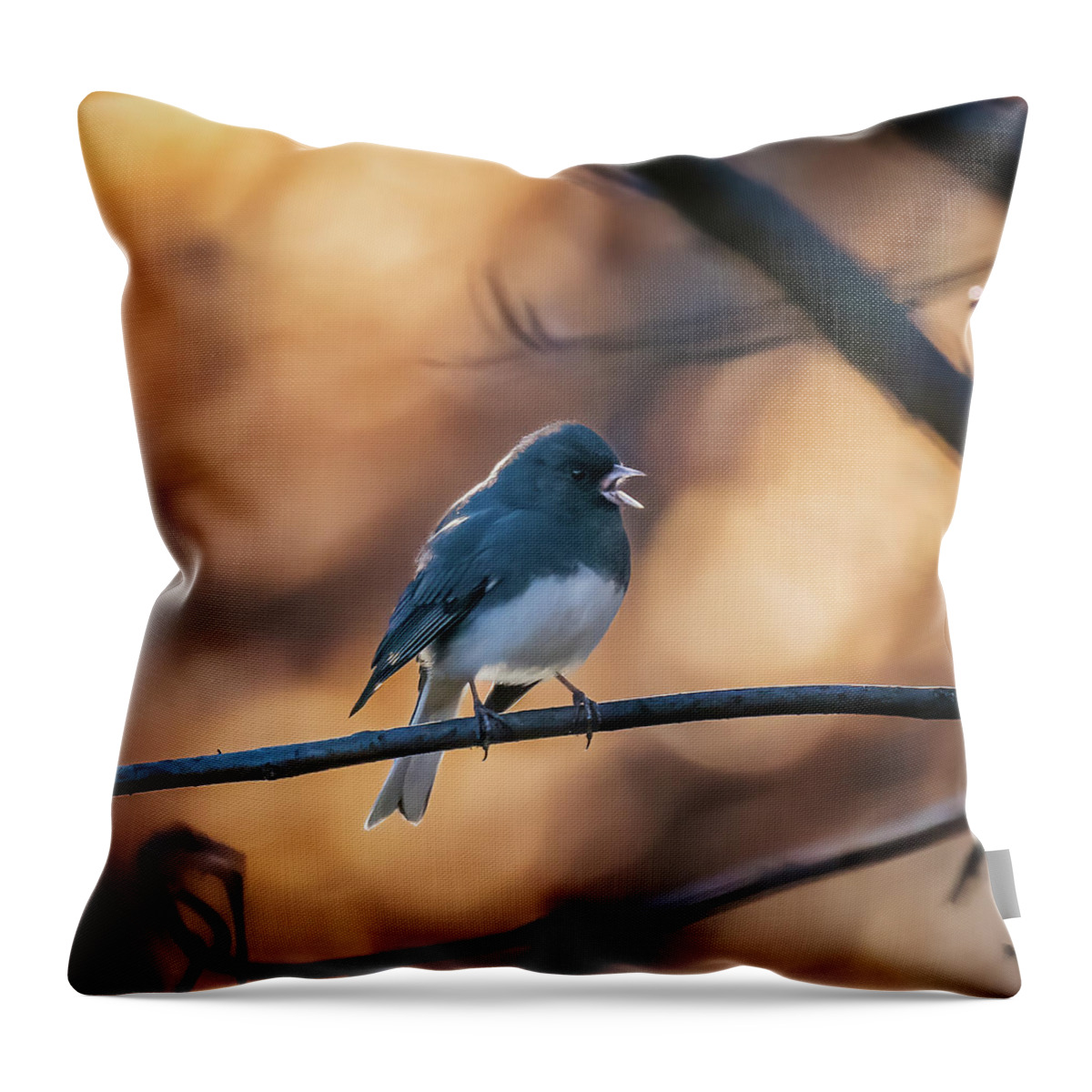 Dark Eyed Junco Throw Pillow featuring the photograph Dark-Eyed Junco by Alexander Image