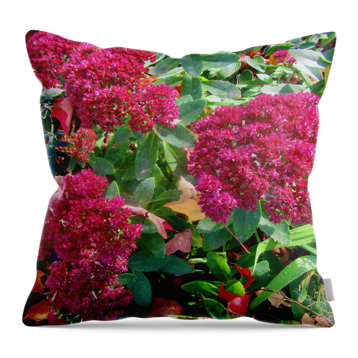 Flowers Throw Pillow featuring the photograph Dark pink flowers by Stephanie Moore