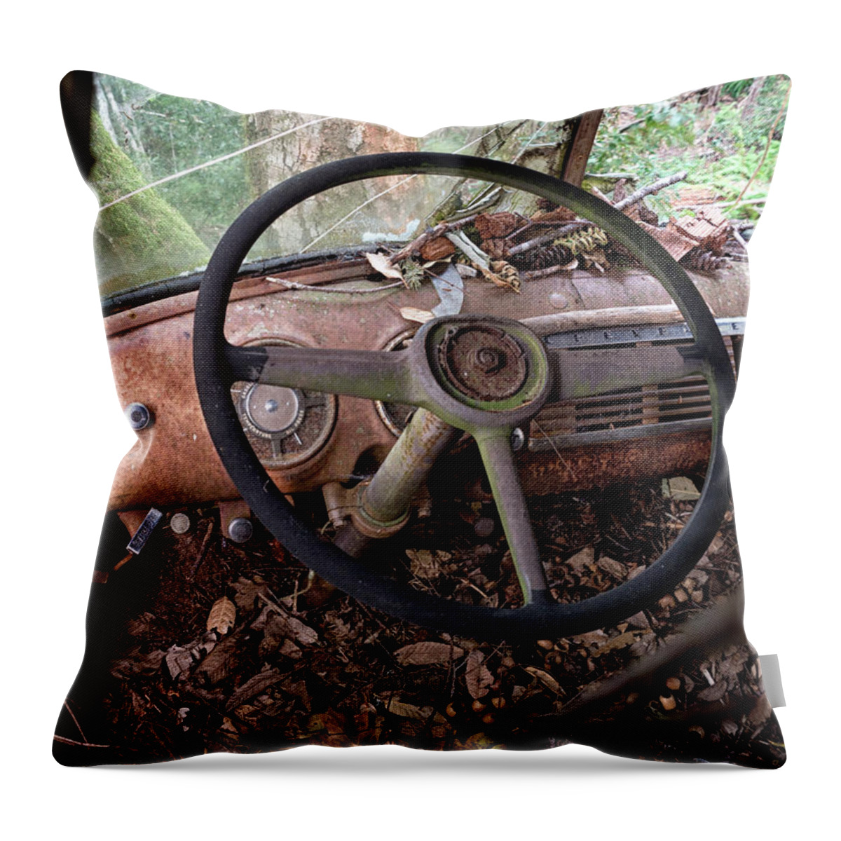 Betty Depee Throw Pillow featuring the photograph Dashed Hopes by Betty Depee