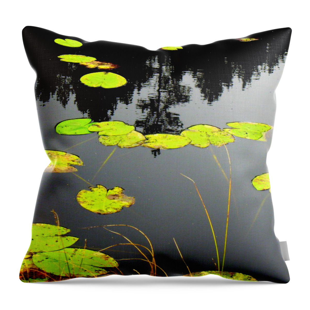 Night Throw Pillow featuring the photograph Dawn in pond by Pauli Hyvonen