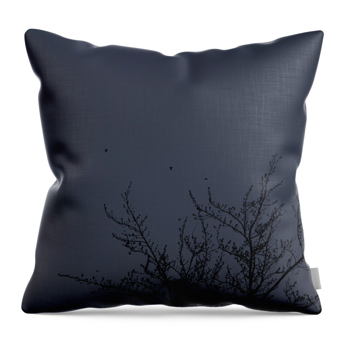  Dark Blue Morning Sunrise Dawn Birds Flying Robins Grey-blue Blue-gray Subtle Colors Throw Pillow featuring the photograph Dawn Sky Dotted with Robins March 3, 2021 by Miriam A Kilmer