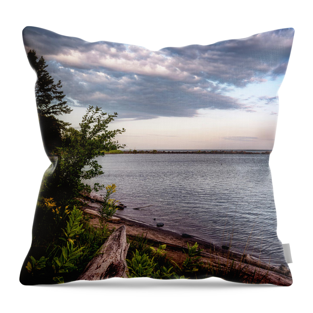 Sunrise Throw Pillow featuring the photograph Daybreak at the Lake by Nate Brack