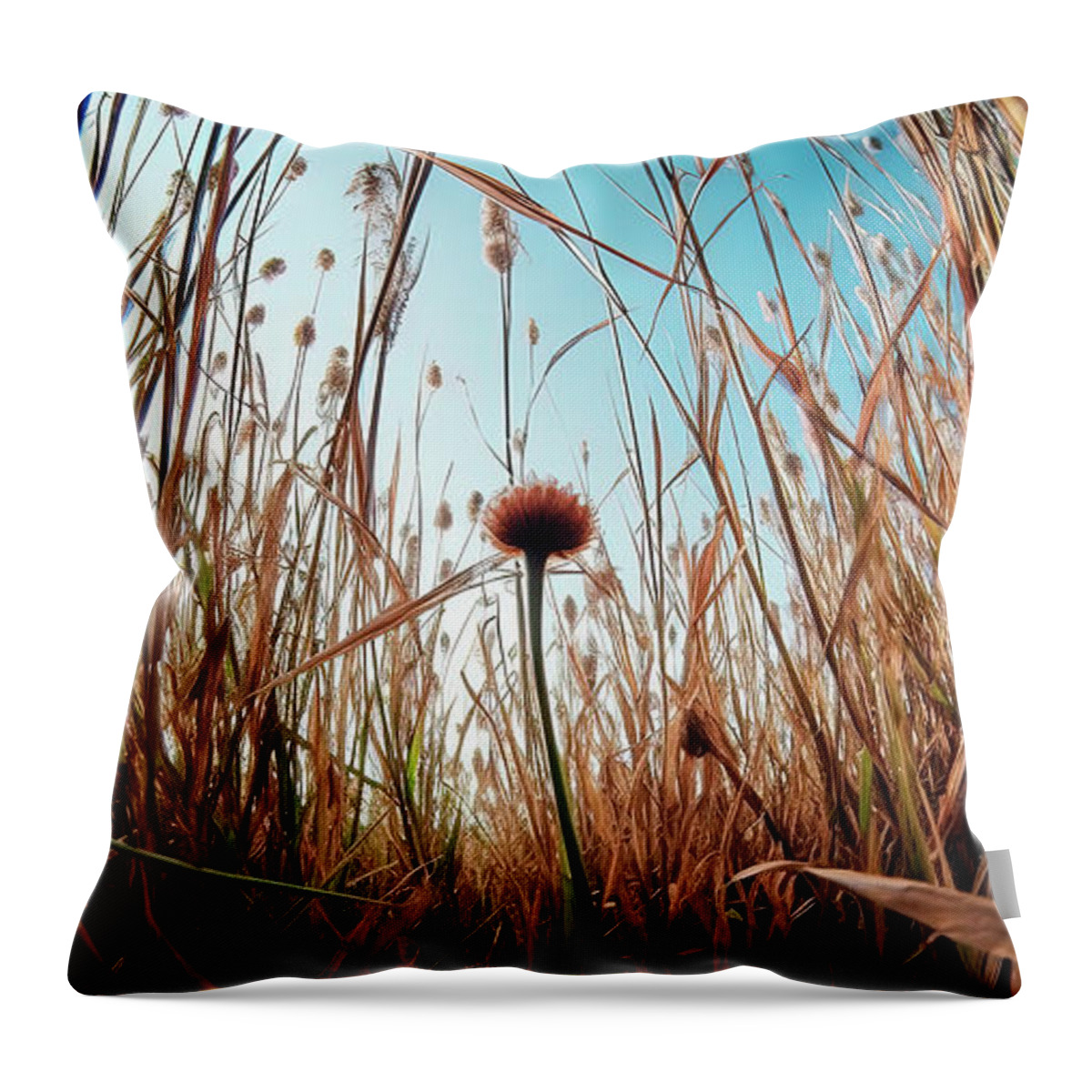 Upshot Photography Throw Pillow featuring the photograph Daydream by Mindy Sommers