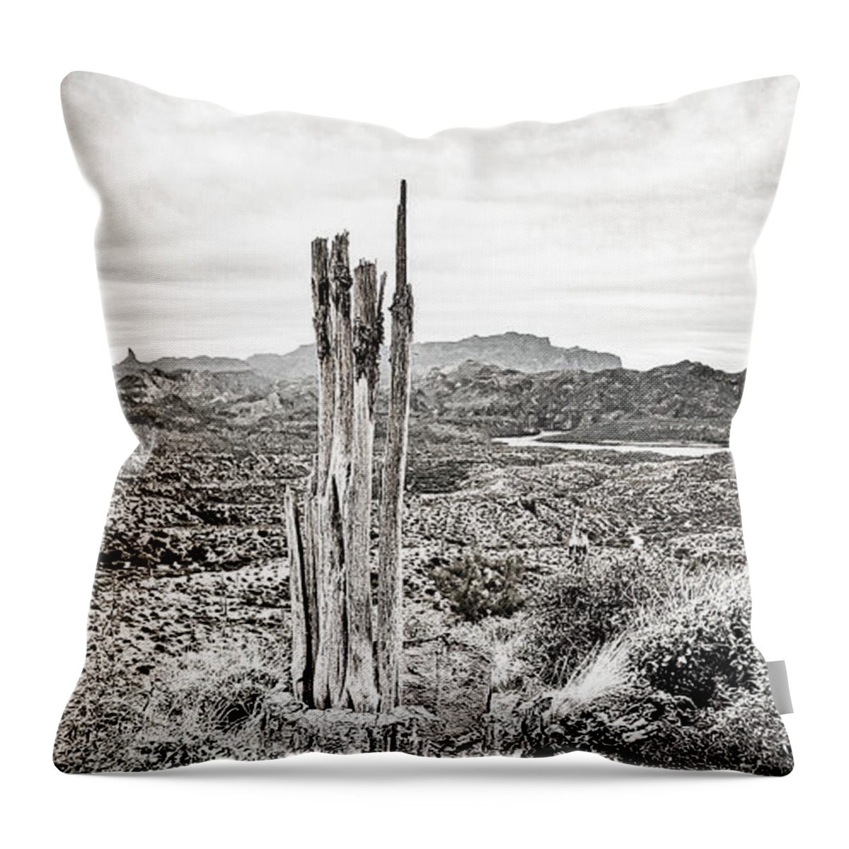 Saguaro Throw Pillow featuring the photograph Death of a Saguaro by Bonny Puckett