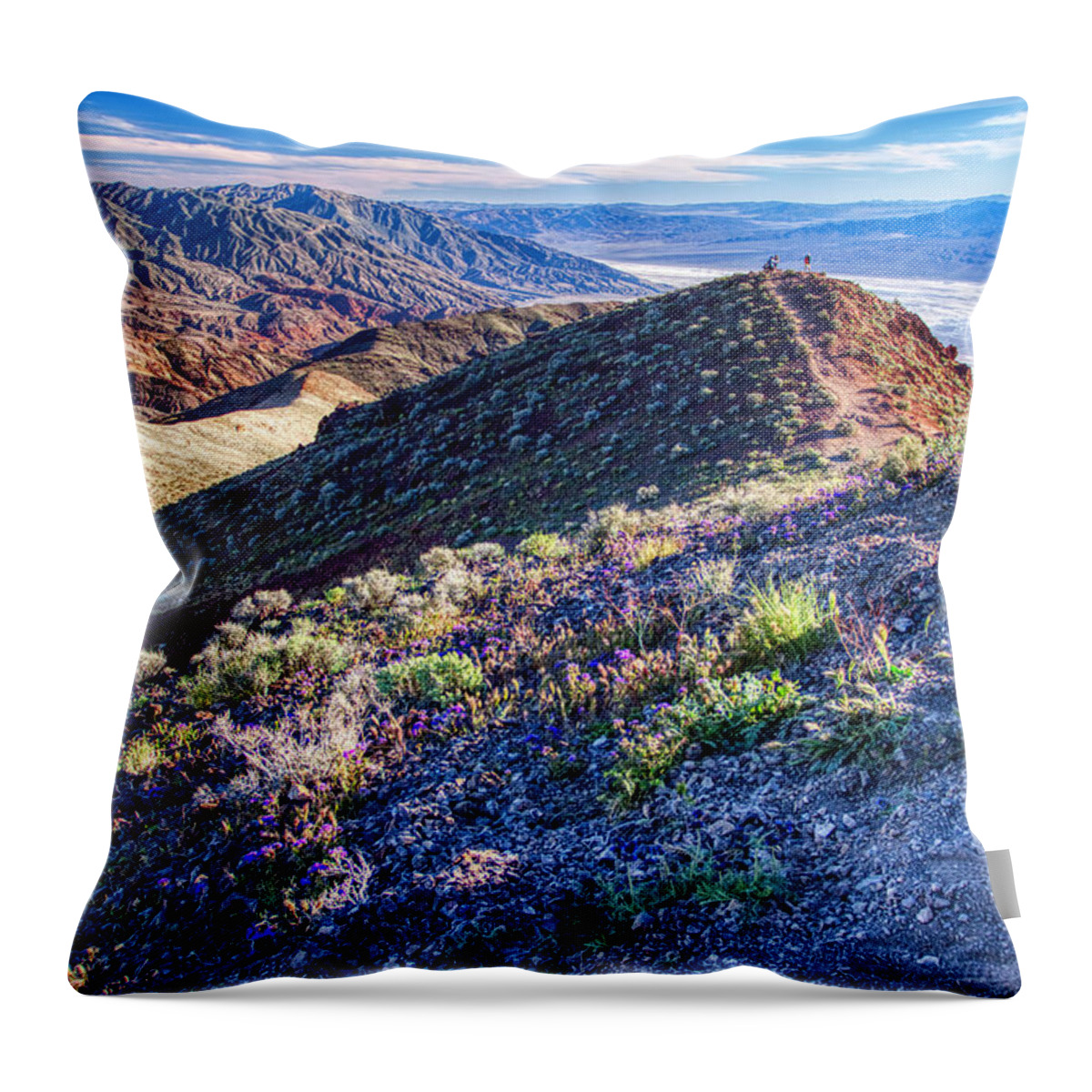 Landscape Throw Pillow featuring the photograph Death Valley at spring by Tatiana Travelways