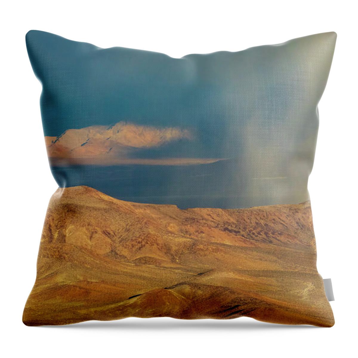 Light Throw Pillow featuring the photograph Death Valley Moods by Mike Lee