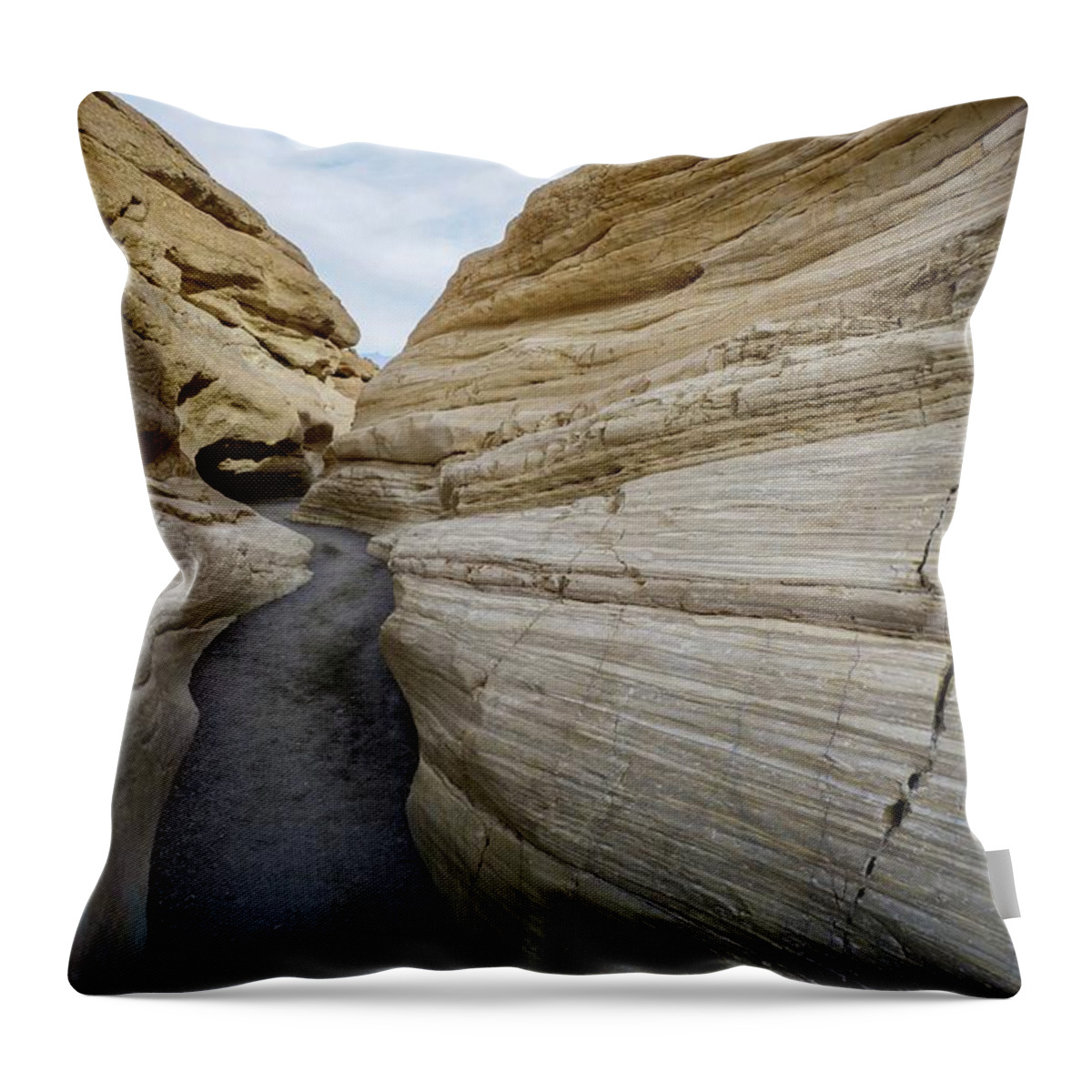 Mosaic Canyon Throw Pillow featuring the photograph Death Valley Organic by Brett Harvey