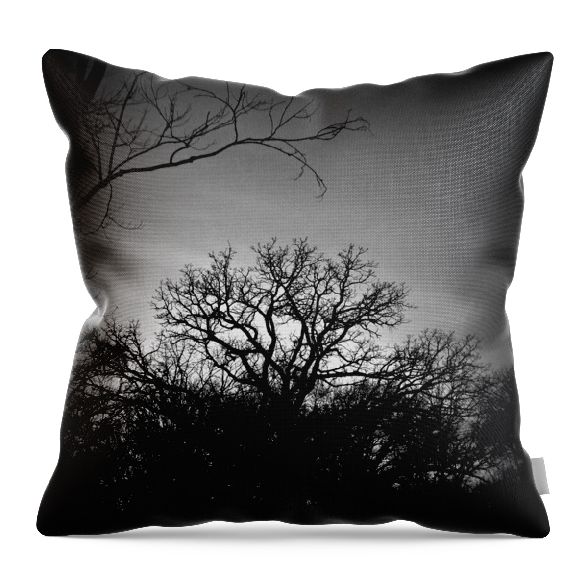 Landscape Photography Throw Pillow featuring the photograph December Sunset Silhouette - Black and White by Frank J Casella
