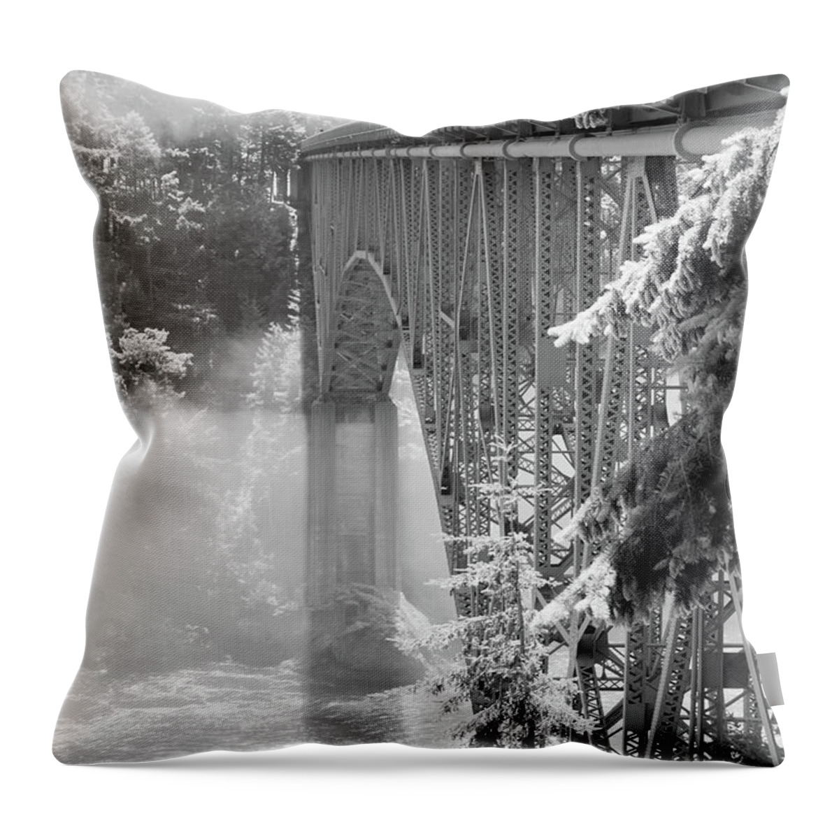 Washington Throw Pillow featuring the photograph Deception Pass Sunlight by Tara Krauss