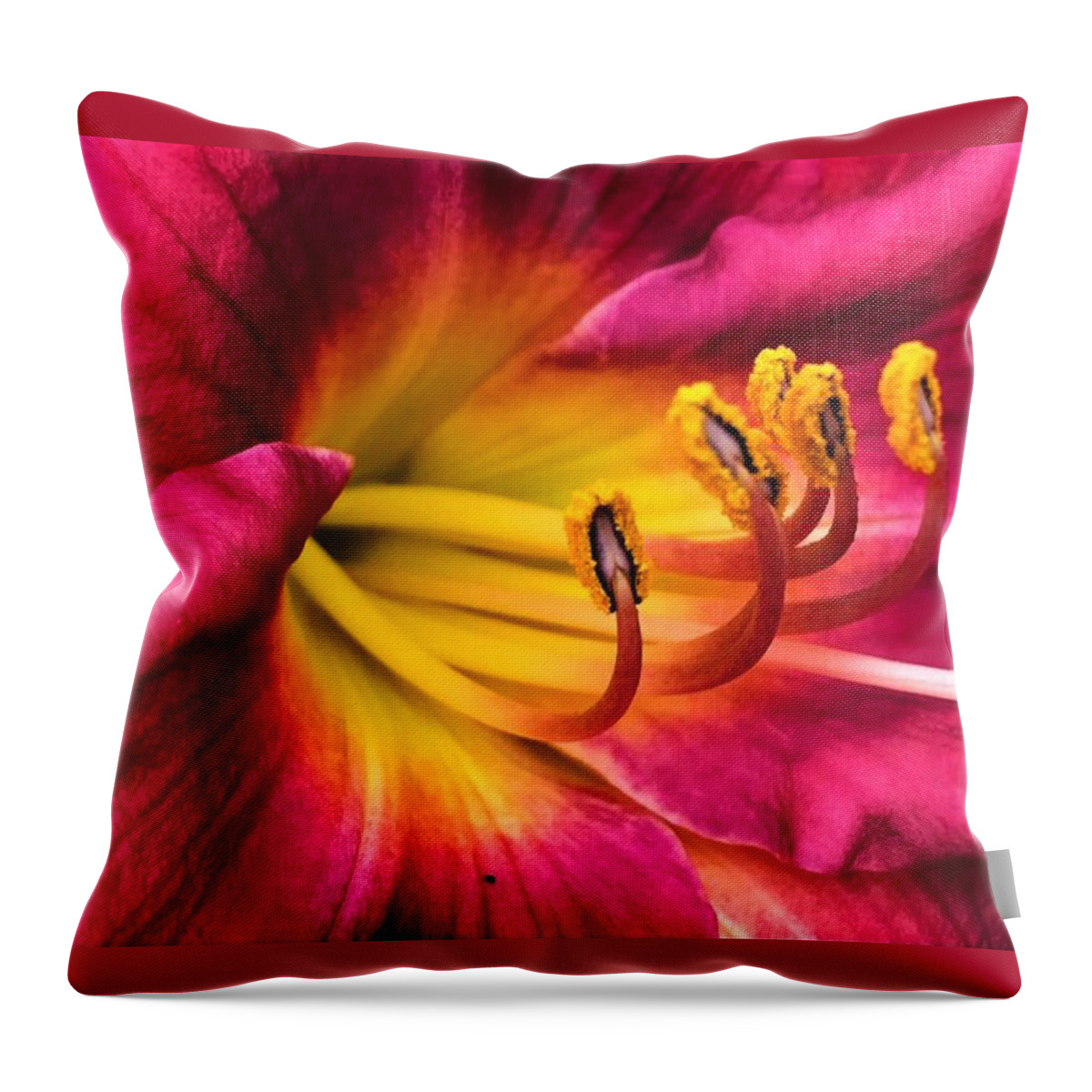Flora Throw Pillow featuring the photograph Deep Pink Daylily by Bruce Bley