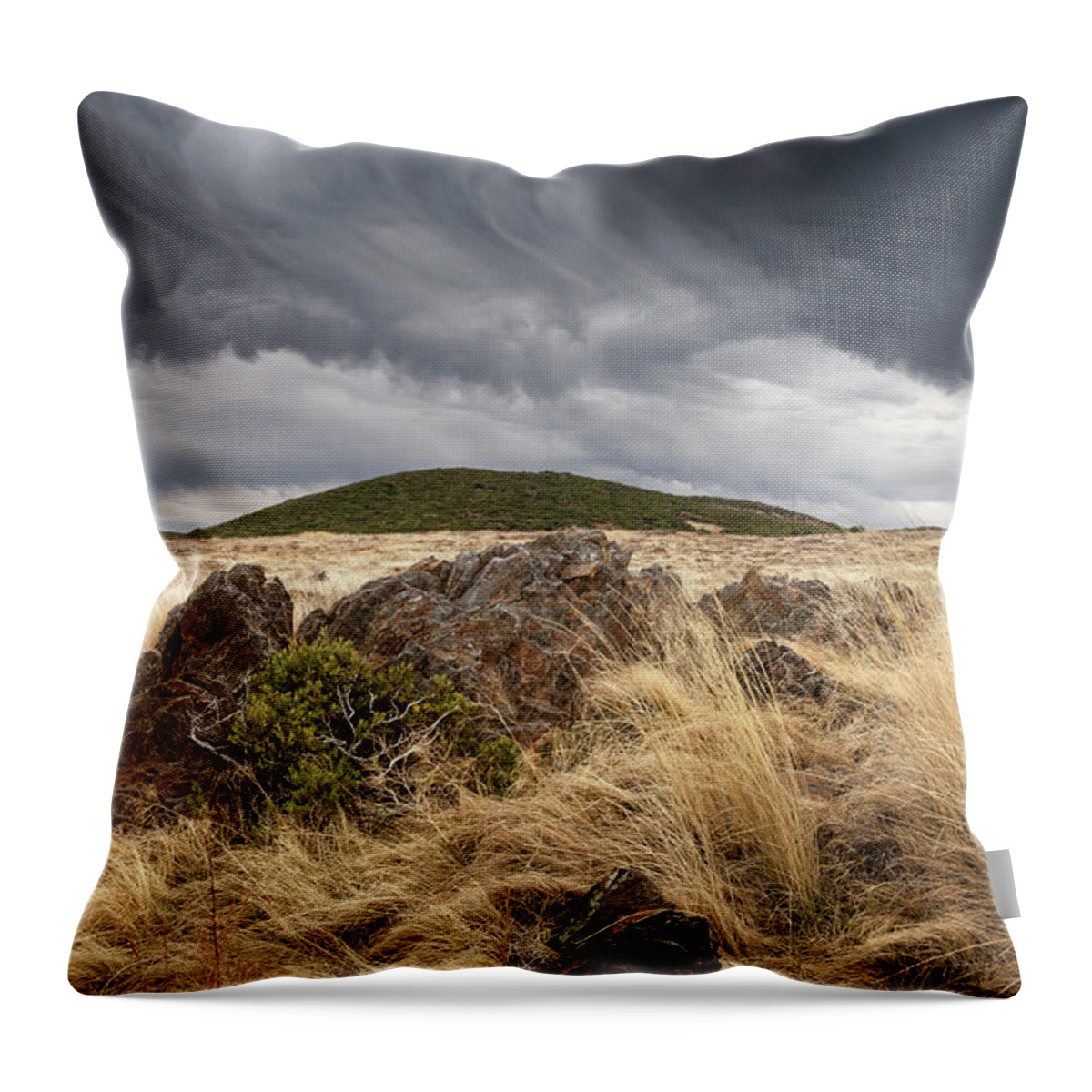 San Diego Throw Pillow featuring the photograph Deep San Diego Clouds by William Dunigan