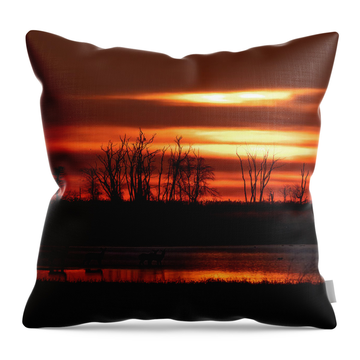 Bombay Hook Throw Pillow featuring the photograph Deer Crossing The Marsh at Sunrise by Kristia Adams