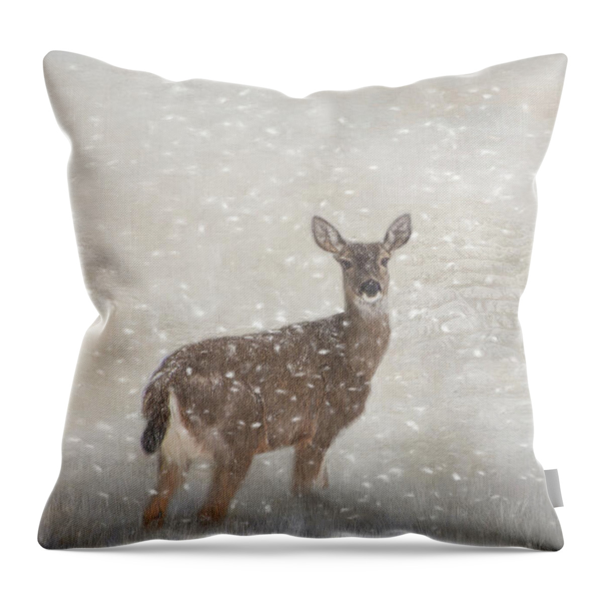 Deer Throw Pillow featuring the photograph Deer in Winter Snow by Marilyn Wilson