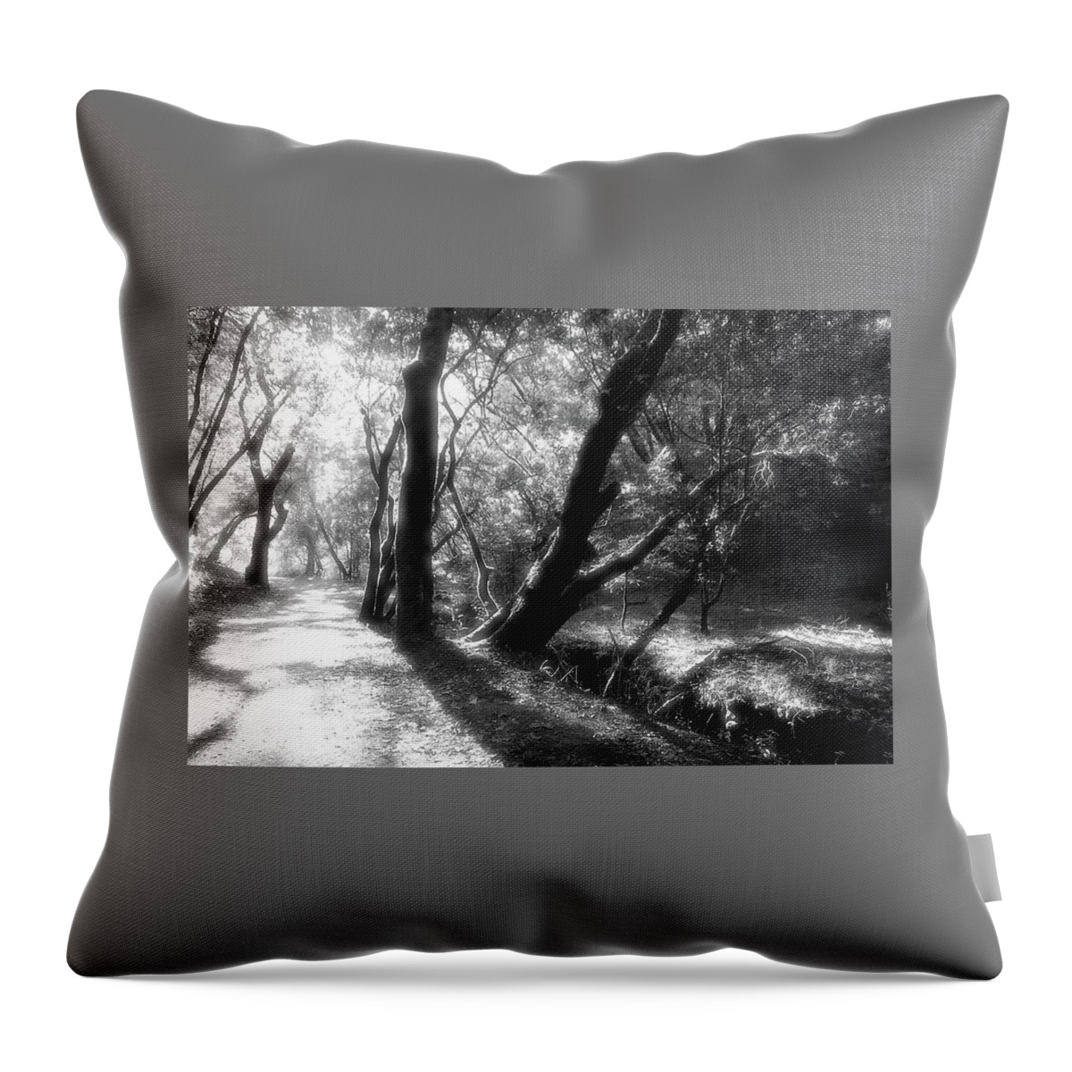 Country Road Throw Pillow featuring the photograph Deer Park Fire Road, Fairfax CA by John Parulis