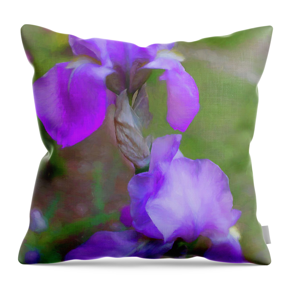 Irises Throw Pillow featuring the photograph Delicate Lavender Iris Beauties by Ola Allen