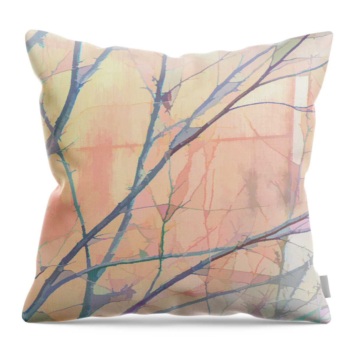 Photography Throw Pillow featuring the digital art Delicate Winter Limbs by Terry Davis