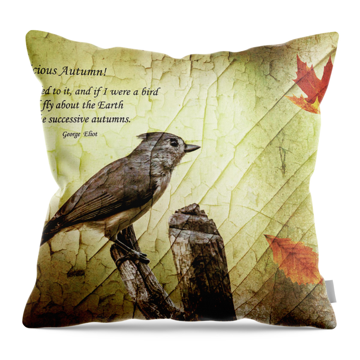 Poster Throw Pillow featuring the photograph Delicious Autumn by Cathy Kovarik