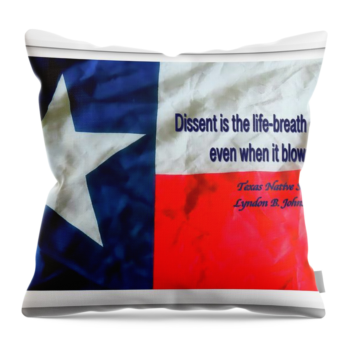 Protest Throw Pillow featuring the photograph Democracy and Dissent by Judy Kennedy