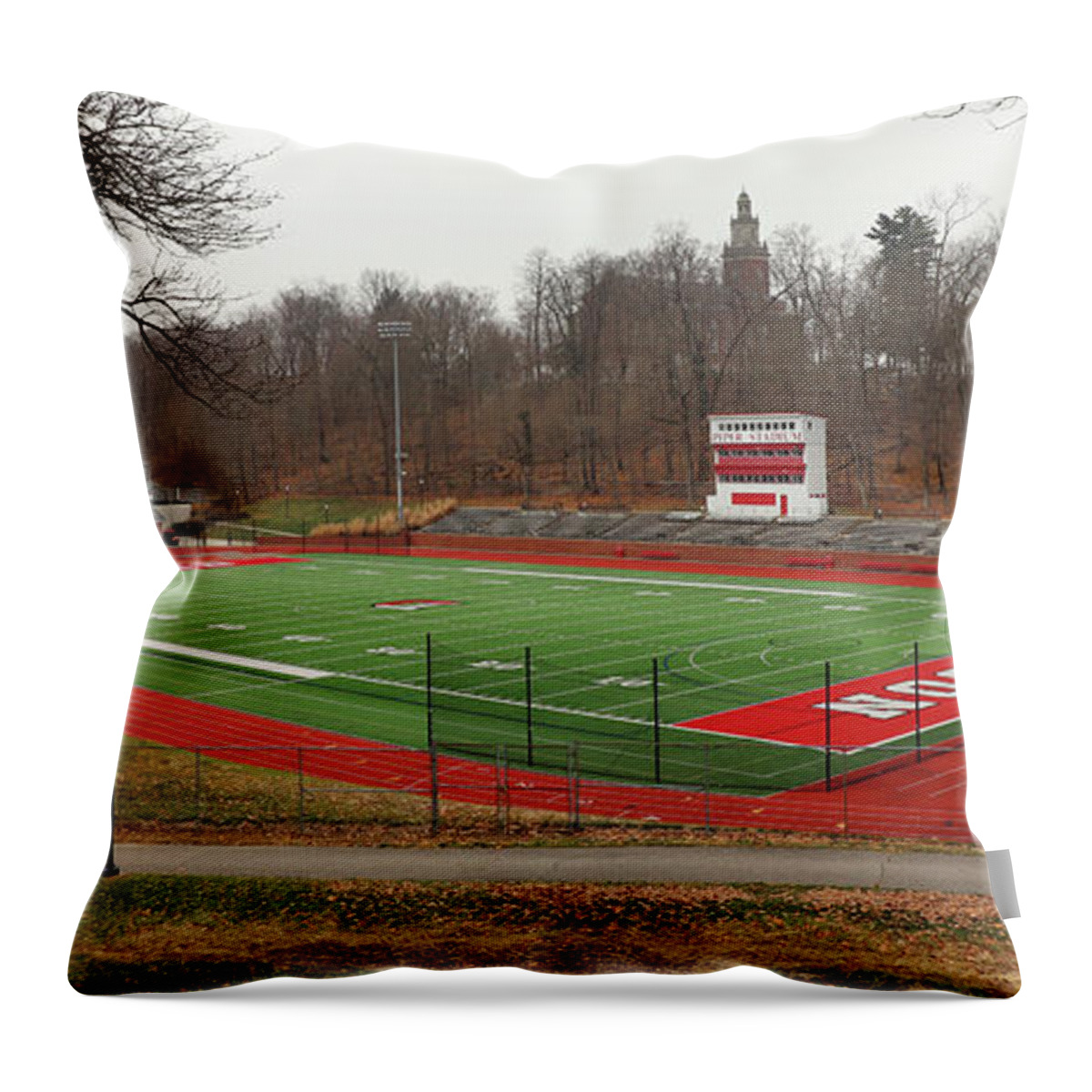 Piper Throw Pillow featuring the photograph Denison University Piper Stadium 5871 by Jack Schultz