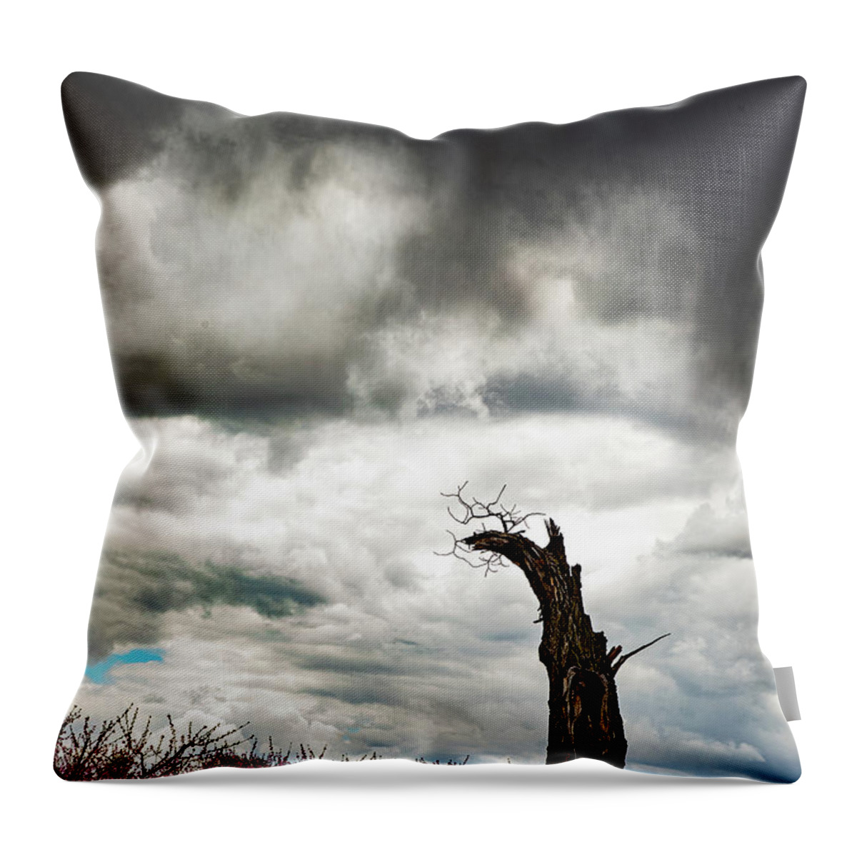 Clouds Throw Pillow featuring the photograph Descending by Marilyn Cornwell