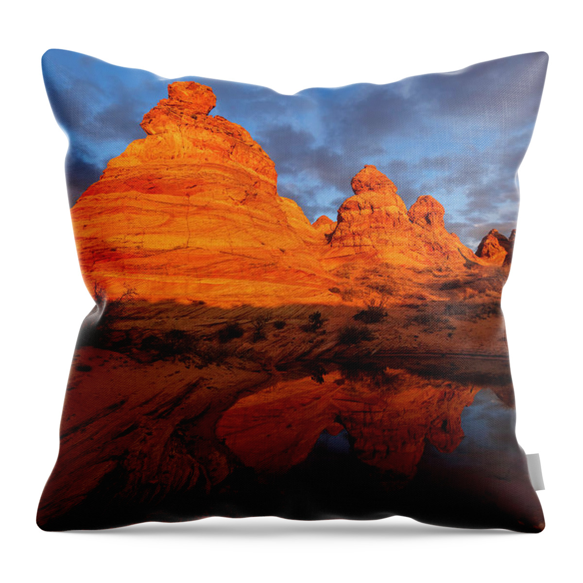 Arizona Throw Pillow featuring the photograph Desert Burst by Chad Dutson