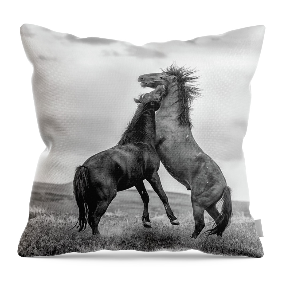 Horse Throw Pillow featuring the photograph Desert Dance by Fon Denton