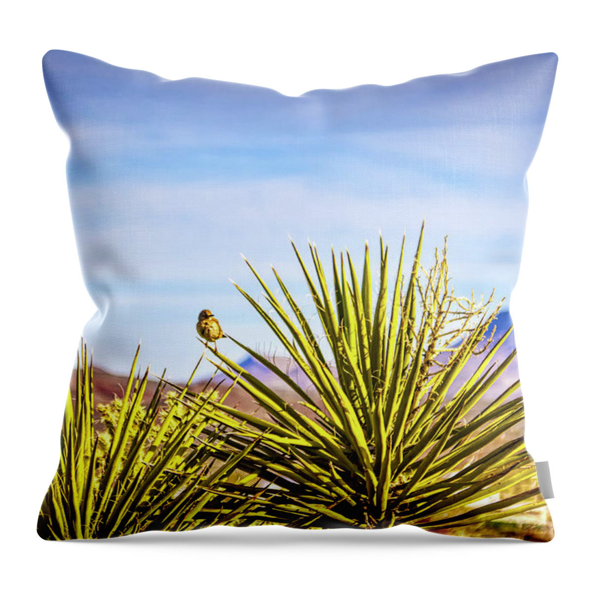 Wildlife Throw Pillow featuring the photograph Desert life by Tatiana Travelways