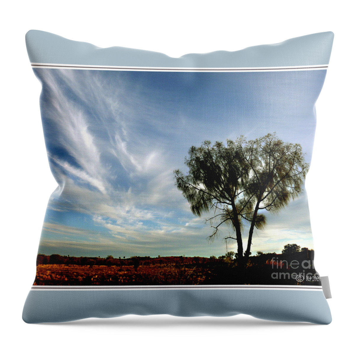 Desert Oaks Throw Pillow featuring the photograph Desert Oak - Allocasuarina decaisneana by Klaus Jaritz