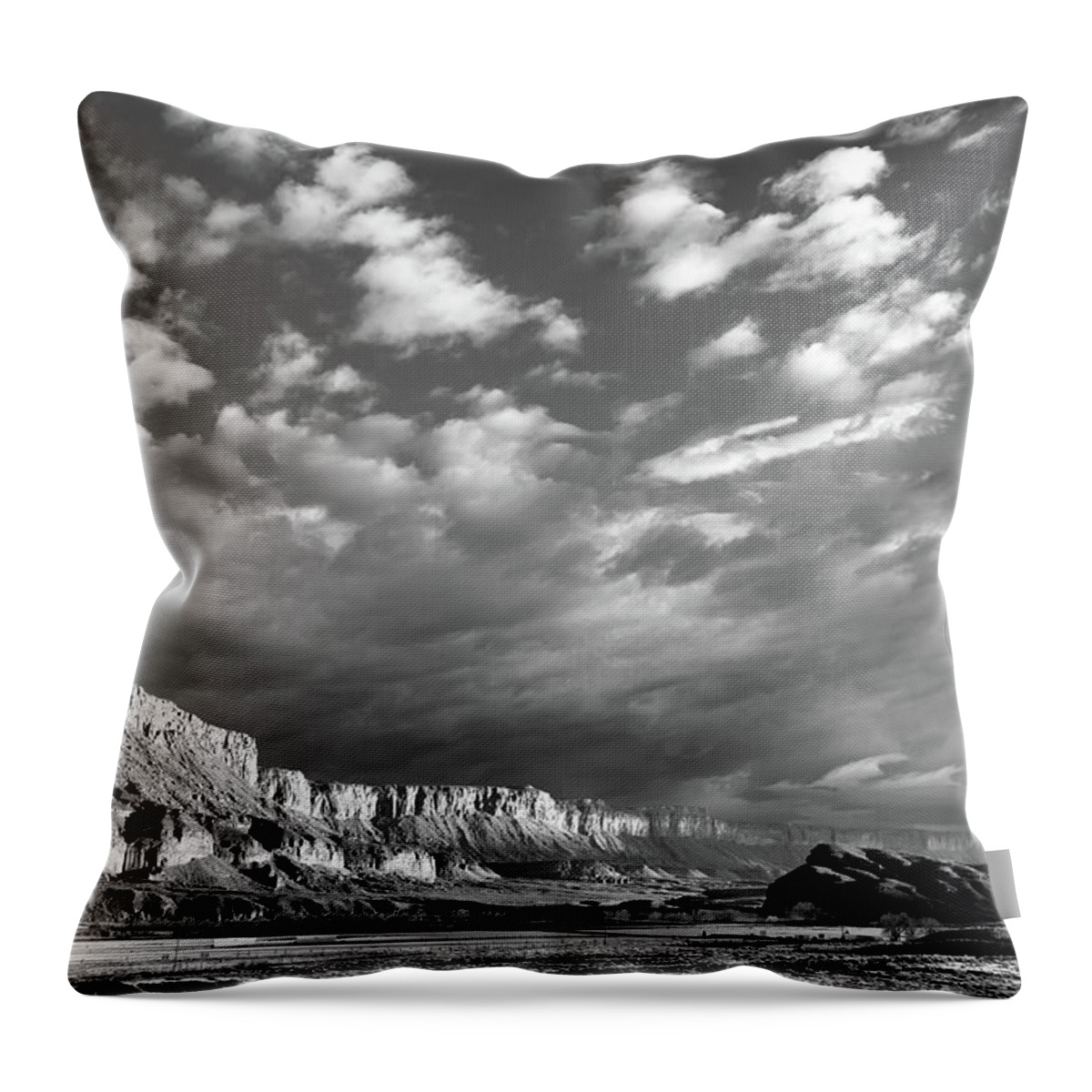  Throw Pillow featuring the photograph Desert panorama by Robert Miller