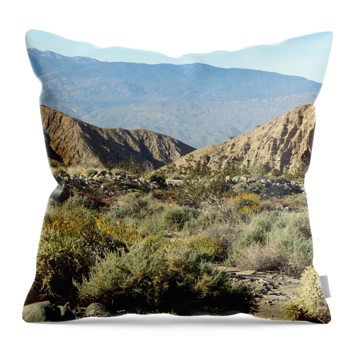 Desert Oasis Throw Pillow featuring the photograph Desert Scene 6 Coachella Valley Wildlife Preserve by Colleen Cornelius
