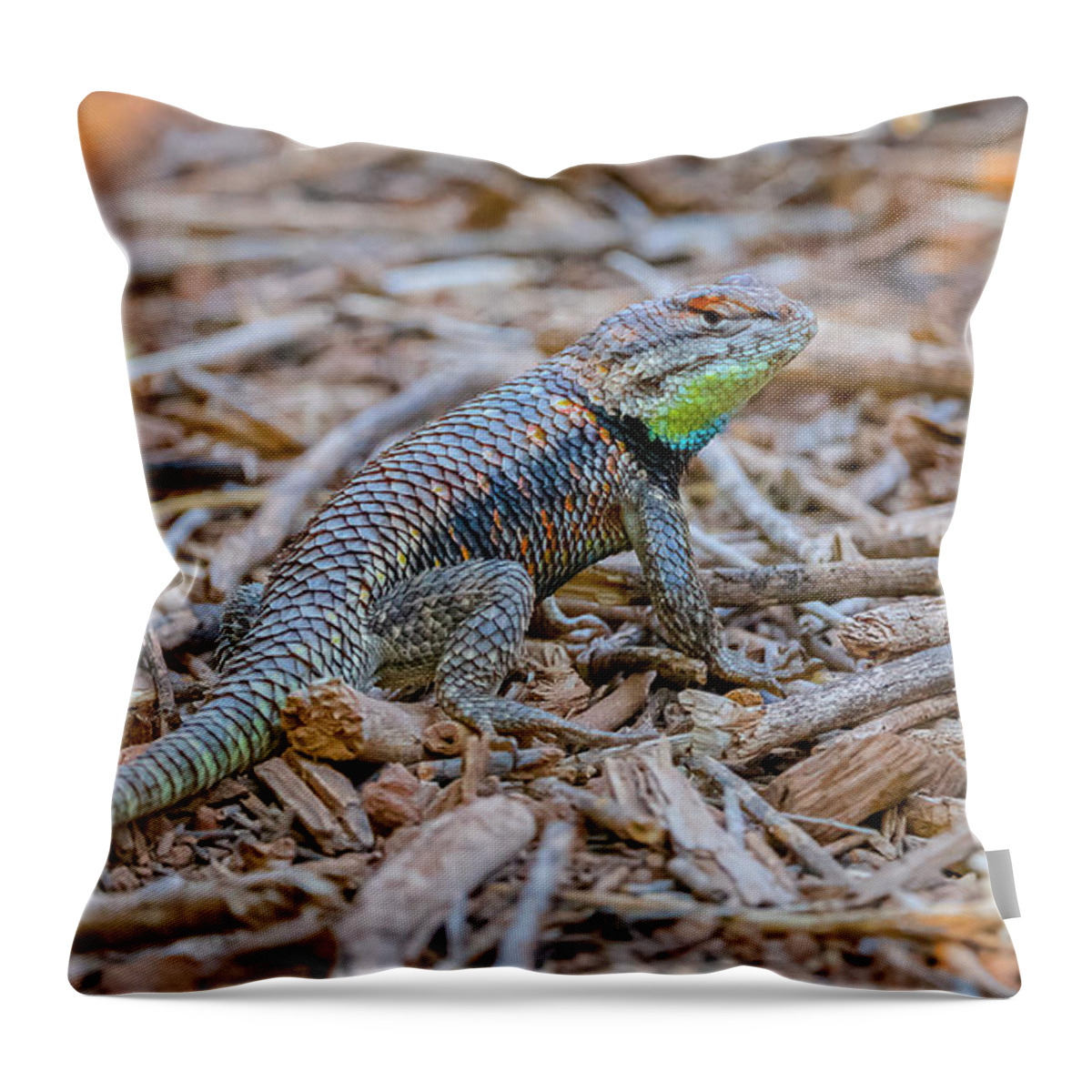 Desert Spiny Lizard Throw Pillow featuring the photograph Desert Spiny Lizard by Morris Finkelstein