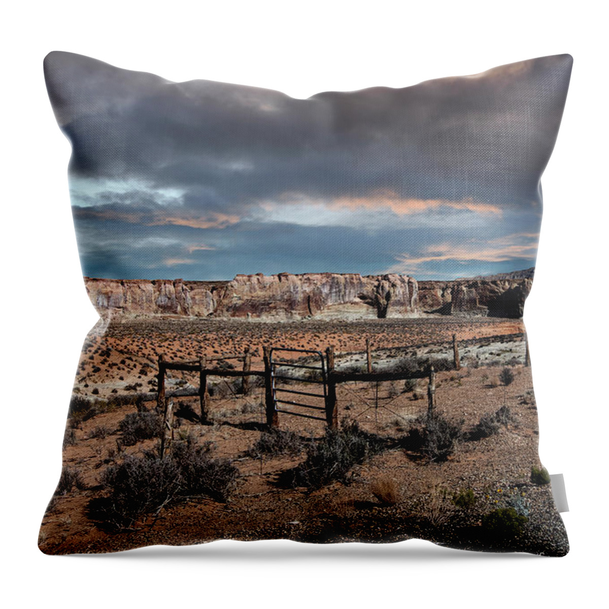 Desert Throw Pillow featuring the photograph Desert Storm by Carmen Kern