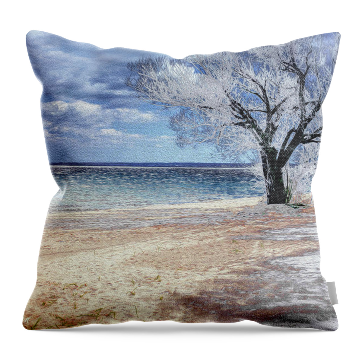 Beach Throw Pillow featuring the digital art Deserted Beach by Pennie McCracken
