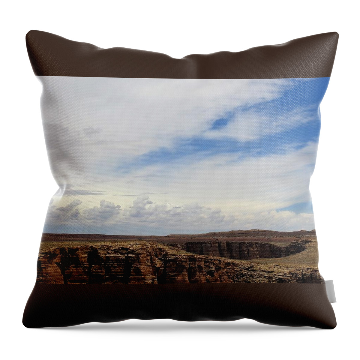 Arizona Throw Pillow featuring the photograph Desolate by Sandra Peery