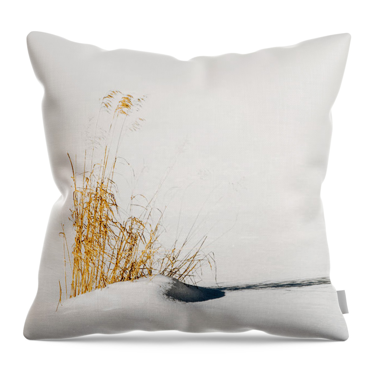 Grass Throw Pillow featuring the photograph Desolate by Tim Beebe